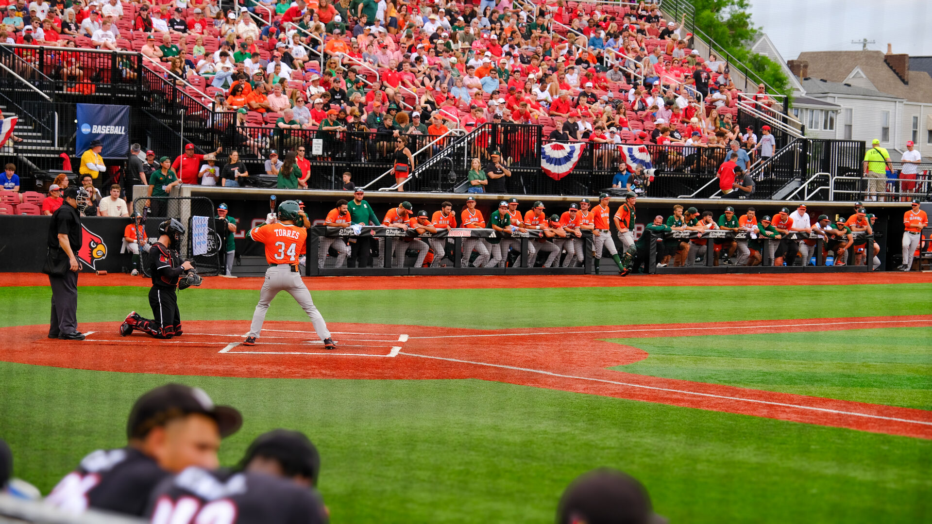 Louisville baseball super regional crowd